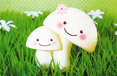 蹲下来陪我做一只蘑菇 蹲下来，陪你做一只蘑菇