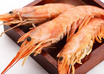 阿根廷红虾寄生虫 食用阿根廷红虾的注意事项