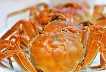 螃蟹的营养价值及功效 螃蟹的营养价值及功效作用