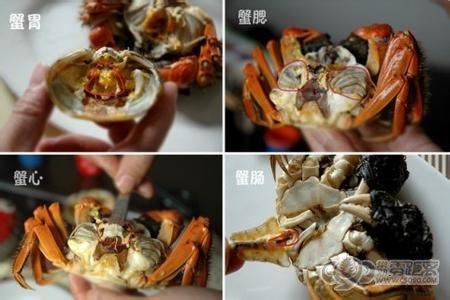小螃蟹那里不能吃 螃蟹四个部位不能吃