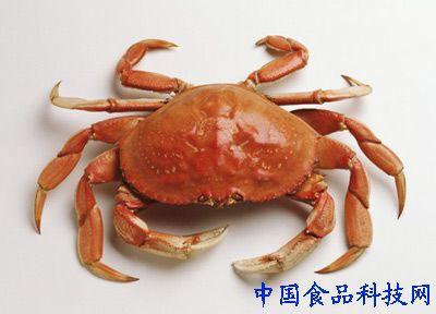 吃螃蟹注意事项 吃螃蟹的8个注意事项
