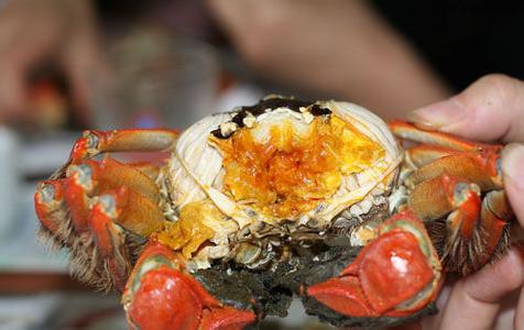吃螃蟹的禁忌 吃螃蟹常见的16个禁忌
