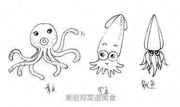 章鱼和鱿鱼哪个好吃 章鱼和鱿鱼的区别