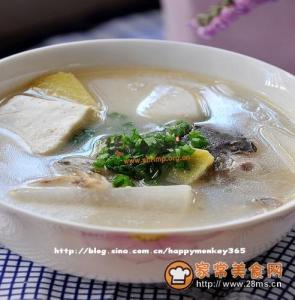 鱼头豆腐汤的做法 白锅鱼头豆腐汤要如何做_鱼头豆腐汤的做法推荐