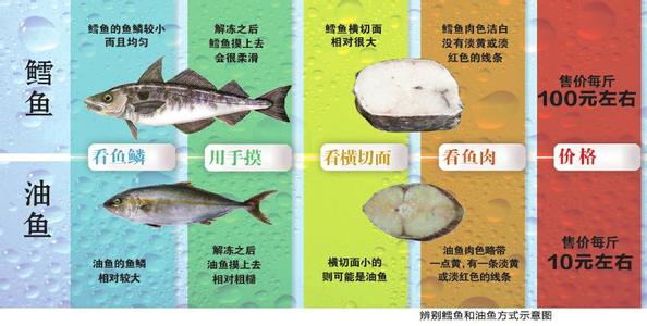 银鳕鱼图片 银鳕鱼和鳕鱼的区别