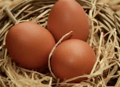 鸡吃鸡蛋有啥办法解决 鸡蛋吃多了有啥危害