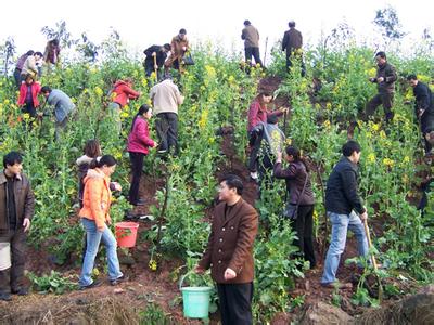 中国植树节的由来 中国的植树节由来和中国植树现状