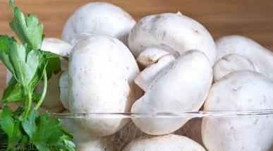 菇类的营养价值及功效 白蘑菇的营养价值及功效