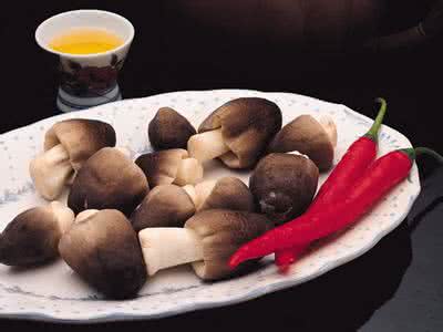 常吃蘑菇的种类和名称 蘑菇营养丰富 常吃保持身体健康
