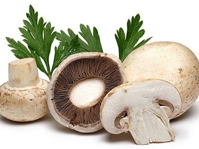 蘑菇的营养价值 蘑菇的3大营养价值