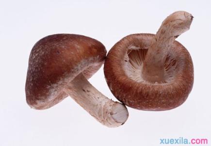 蘑菇功效与作用 蘑菇有什么功效