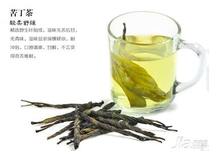 黑茶的功效与作用 苦丁茶的功效作用