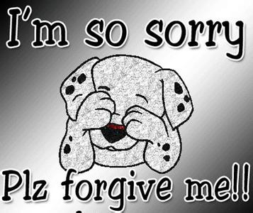 代表道歉的花 道歉并不一定就是代表自己真的错了