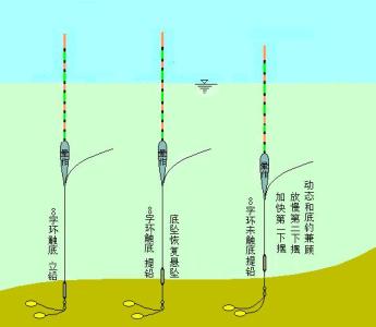 冬钓鲫鱼饵料配制方法 冬钓掌握哪些方法