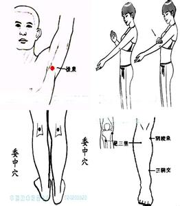 身体经常不同部位疼痛 身体有湿毒 常拍7部位