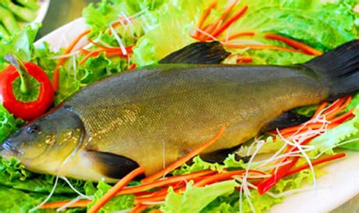 鲑鱼的营养价值及功效 鲑鱼的营养价值