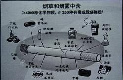 关于吸烟的调查报告 吸烟有害健康调查报告(2)