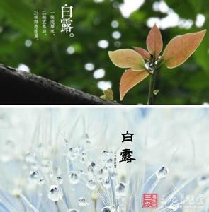 白露节气 白露节气的饮食方法