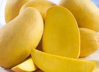 芒果的功效与作用 芒果的健康功效
