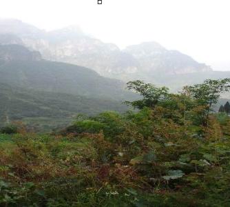 八楞山风景区 鸡西八楞山风景区