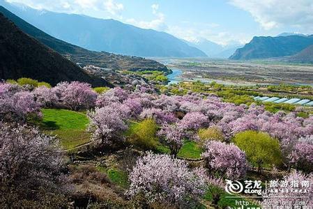 6月适合去哪里旅游国外 6月适合去哪里旅游