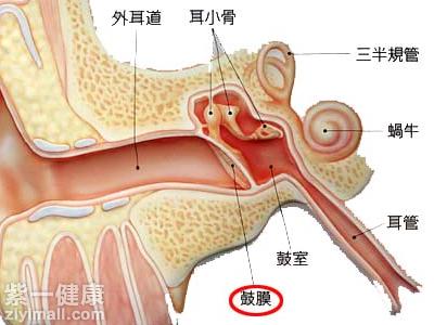 掏耳屎 “耳屎”有护耳作用莫乱掏