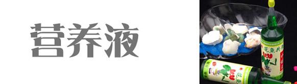 了解车的基本常识 不管你多大都该了解的常识