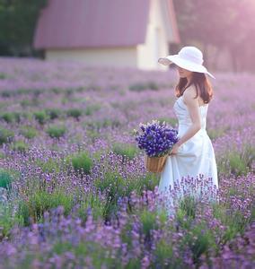 如花春梦 女人如花如诗一抹春姿色