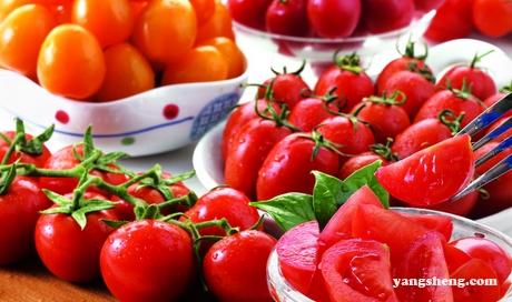 春季养生必吃十种食物 春季养生可以多吃番茄