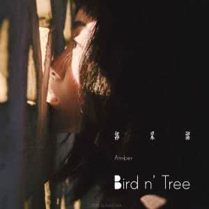 郭采洁Bird n' Tree歌词