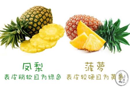 凤梨和菠萝的区别 凤梨和菠萝有哪些区别
