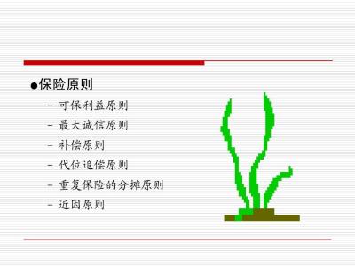 重复保险的分摊方式 重复保险的分摊方式是什么