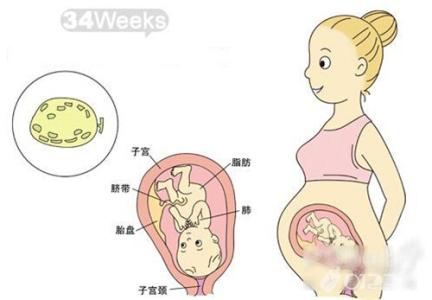 孕34周应该注意些什么 怀孕34周饮食注意事项