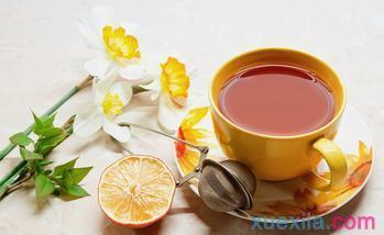 茶文化与茶健康 茶文化与茶健康的内容
