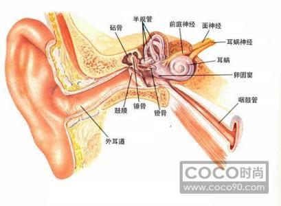 坐飞机耳朵疼怎么办 坐飞机耳朵疼怎么办攻略