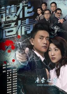 护花危情 TVB电视剧《护花危情》中的“情绪病”