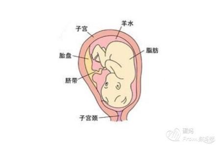 胎儿入盆自己怎么摸 胎儿入盆什么感觉