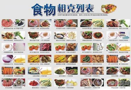 食物相克 180种相克食物想健康不要贪嘴