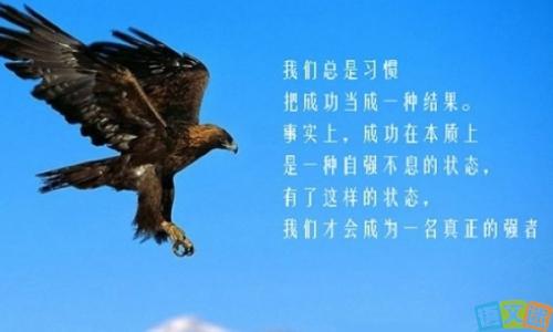 励志成功：每天淘汰你自己