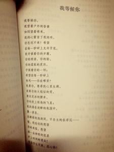 徐志摩的爱情诗：《我等候你》