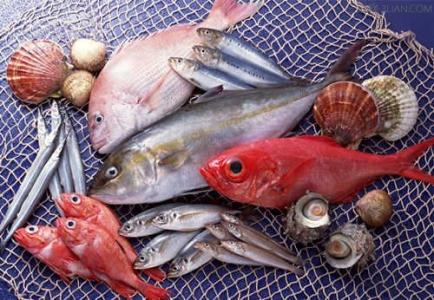 银鳕鱼哪个部位最营养 吃鱼的哪些部位最有营养