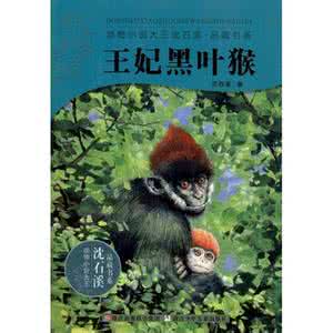 王妃黑叶猴主要内容50 王妃黑叶猴主要内容