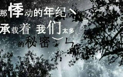 我爱你与你无关顾雨薇 我爱你，与你无关