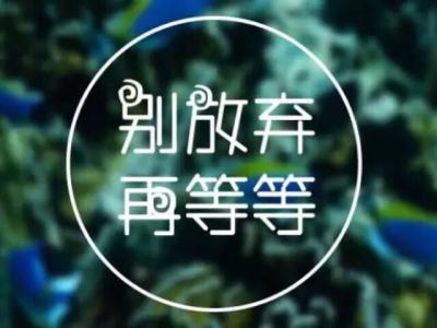 郑恺我等一等再放弃 别放弃，再等等