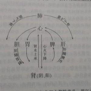 调脏腑疏经络保健康 护好脏腑健康 6大运动处方来帮忙