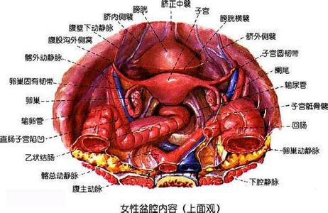 中腹部阵痛是什么原因 上腹部痛是什么原因