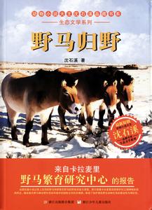 野马归野读书笔记600字 野马归野读书笔记