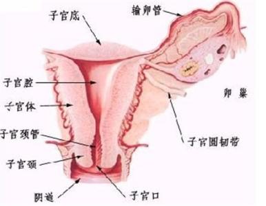 上环对女性有什么伤害 上环有什么副作用