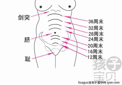 孕妇的宫高怎么测量 宫高怎么测量