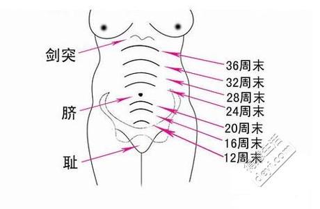 如何测量宫高 测量宫高有什么用